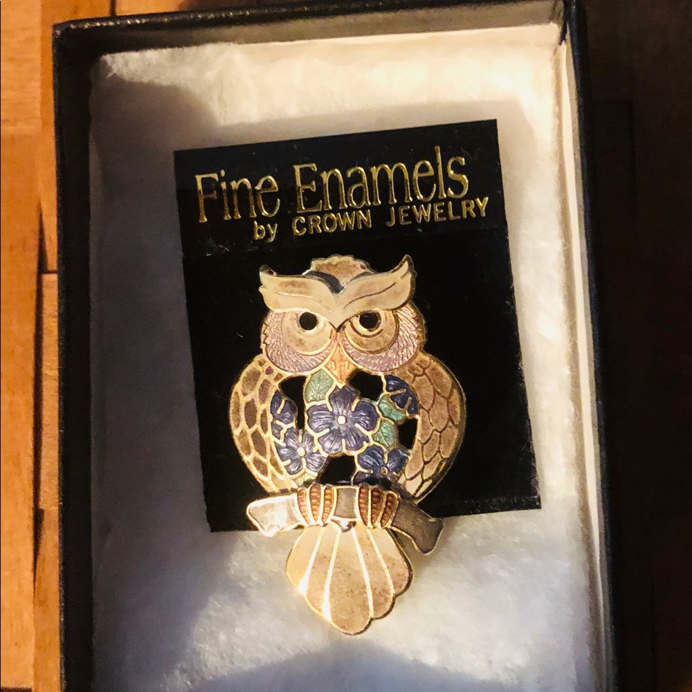Fine Enameled Owl Brooch